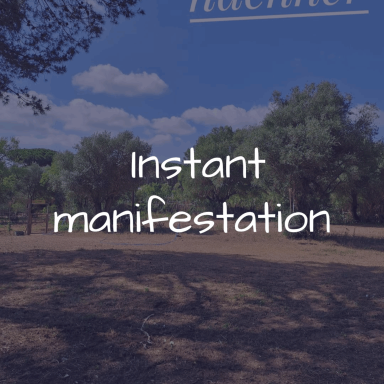 Traumhafter Stellplatz inmitten der Natur – genau so manifestiert. Ein sichtbares Beispiel für instant manifestation unterwegs.